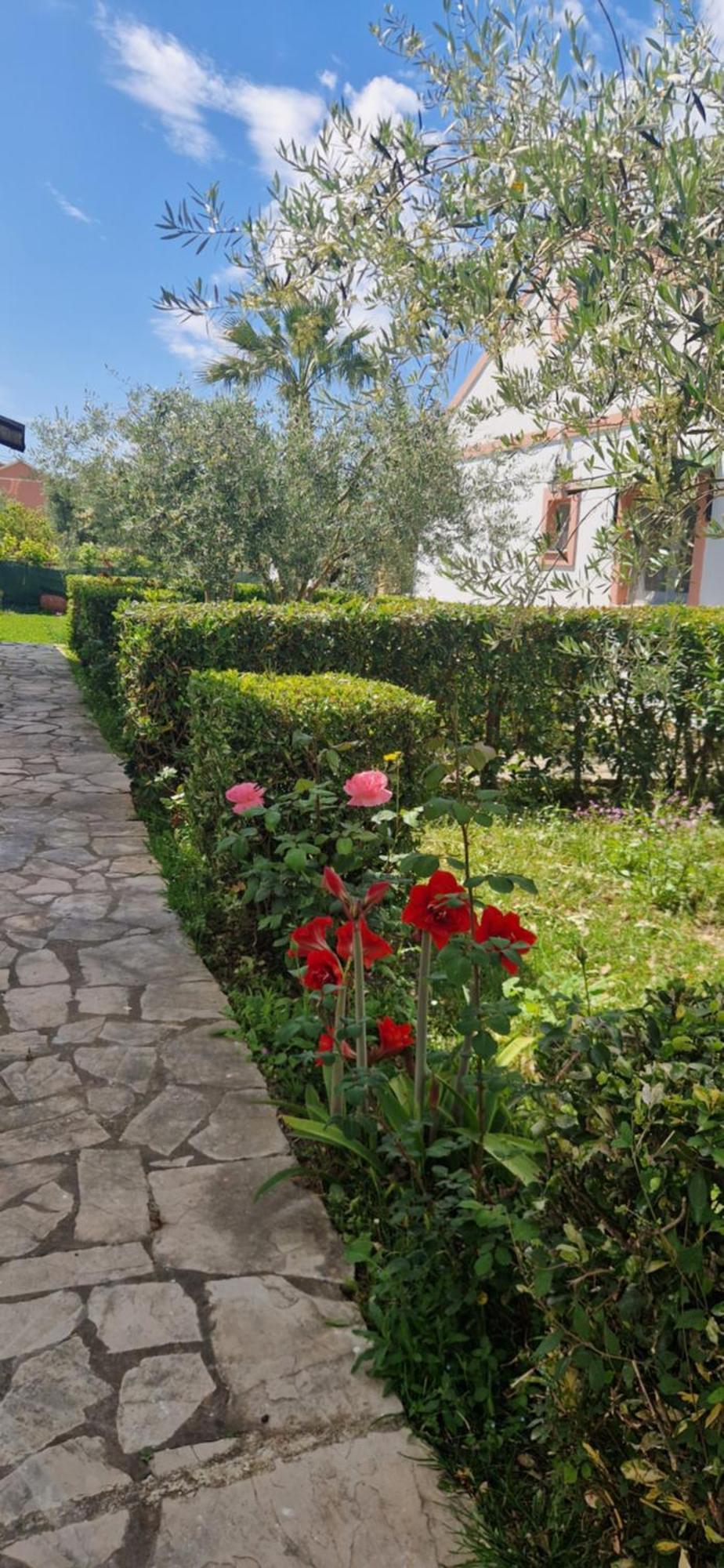 Corfu Studio 4U โรดา ภายนอก รูปภาพ